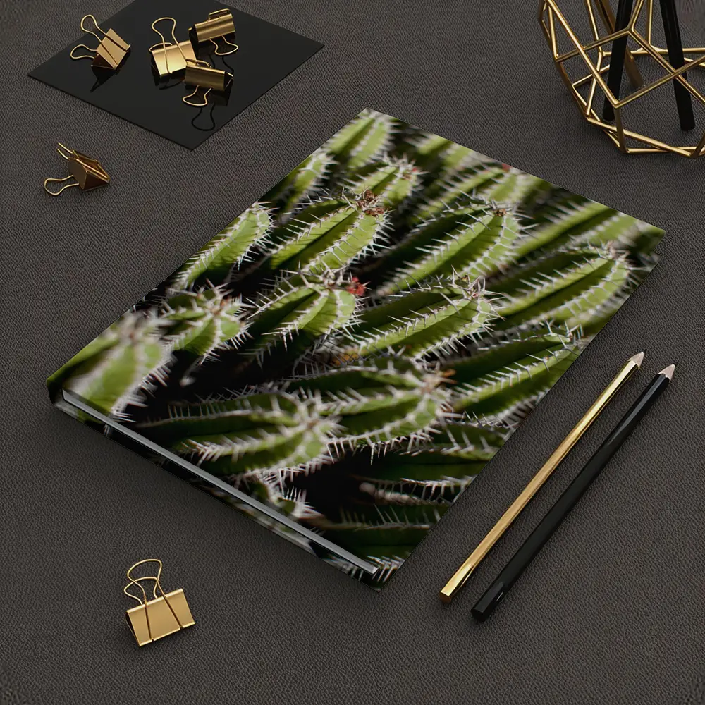 Close Up Green Cactus Spines Desert Plant – Notebooks