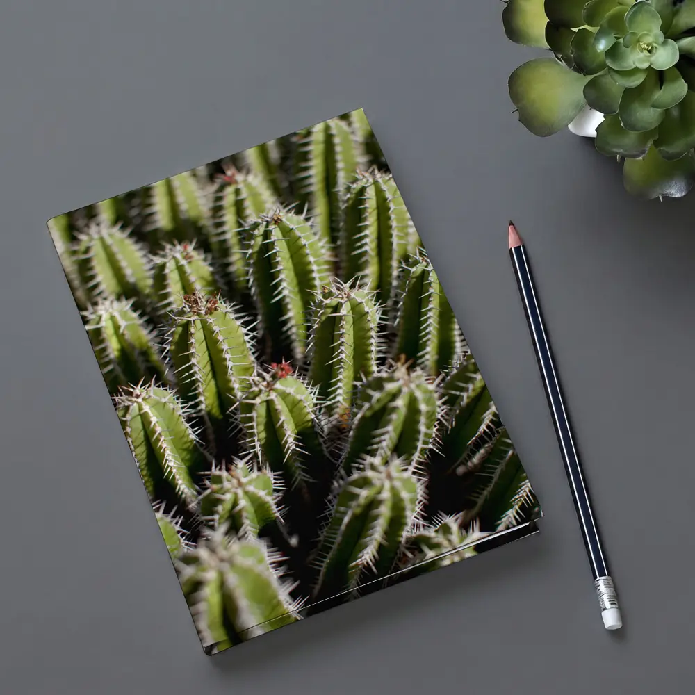 Close Up Green Cactus Spines Desert Plant – Notebooks