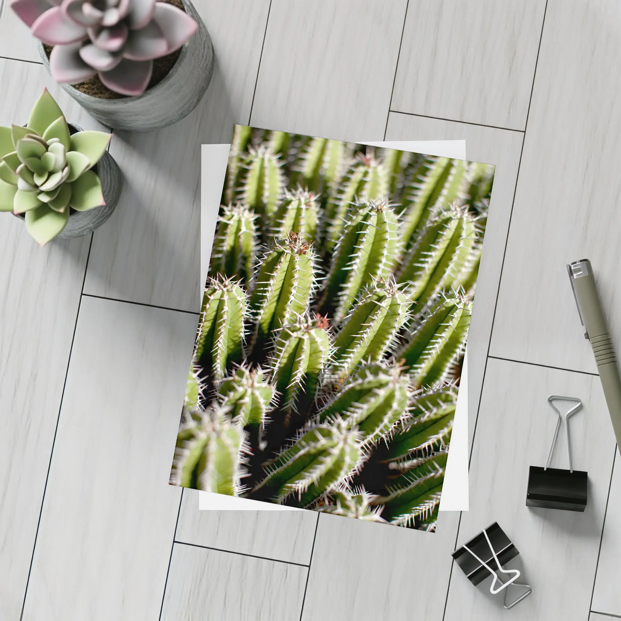 Close Up Green Cactus Spines Desert Plant – Postcards