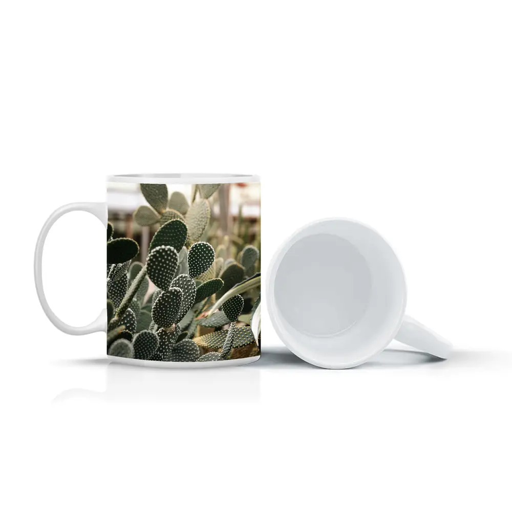 Prickly Pear Cactus Greenhouse Close Up – Mugs