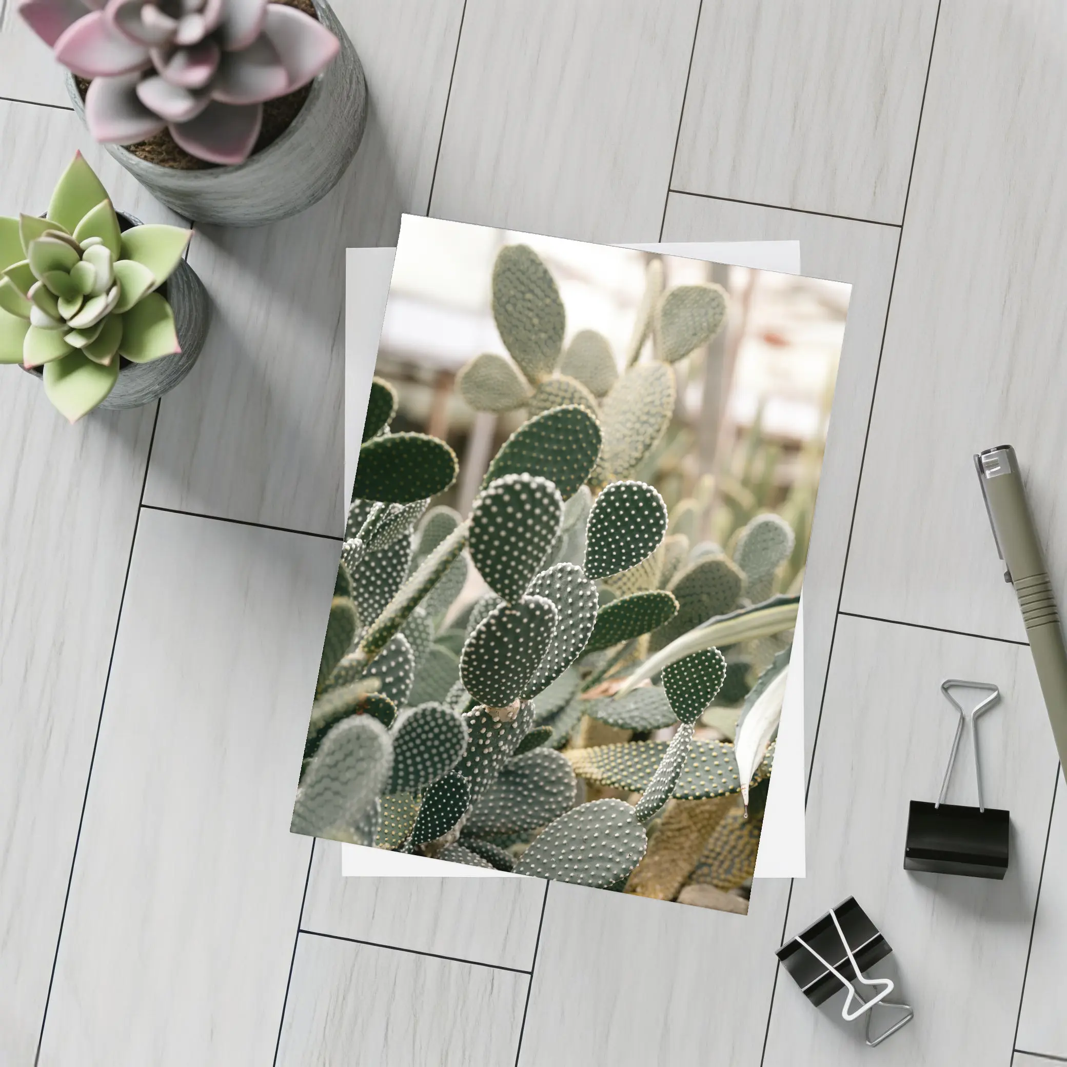 Prickly Pear Cactus Greenhouse Close Up – Postcards