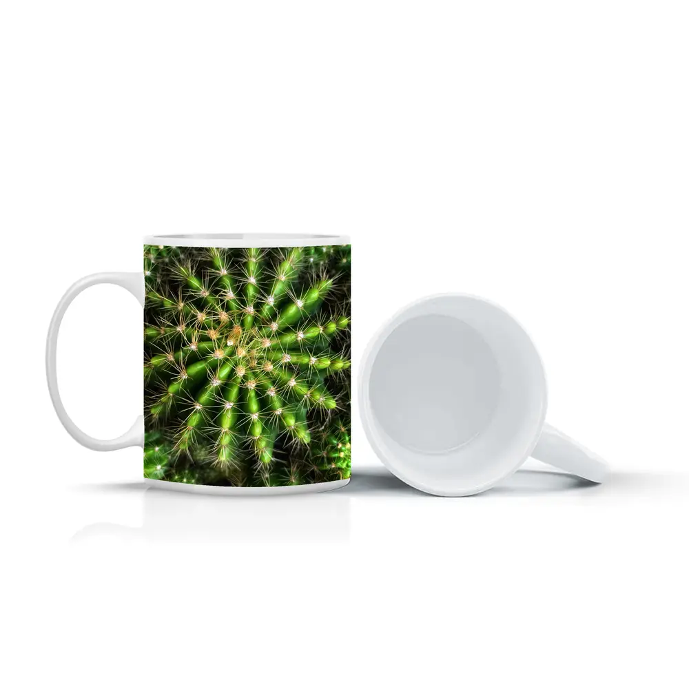 Green Cactus Close Up Top View – Mugs