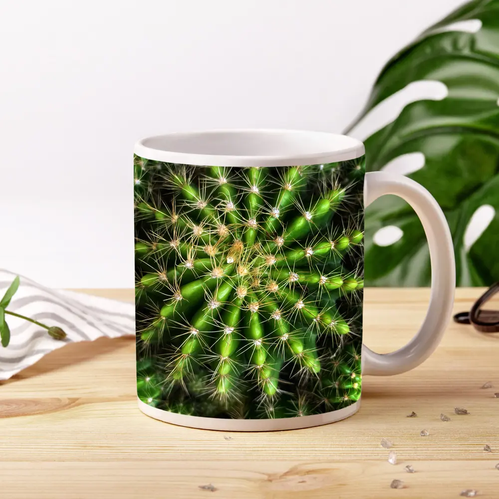 Green Cactus Close Up Top View – Mugs