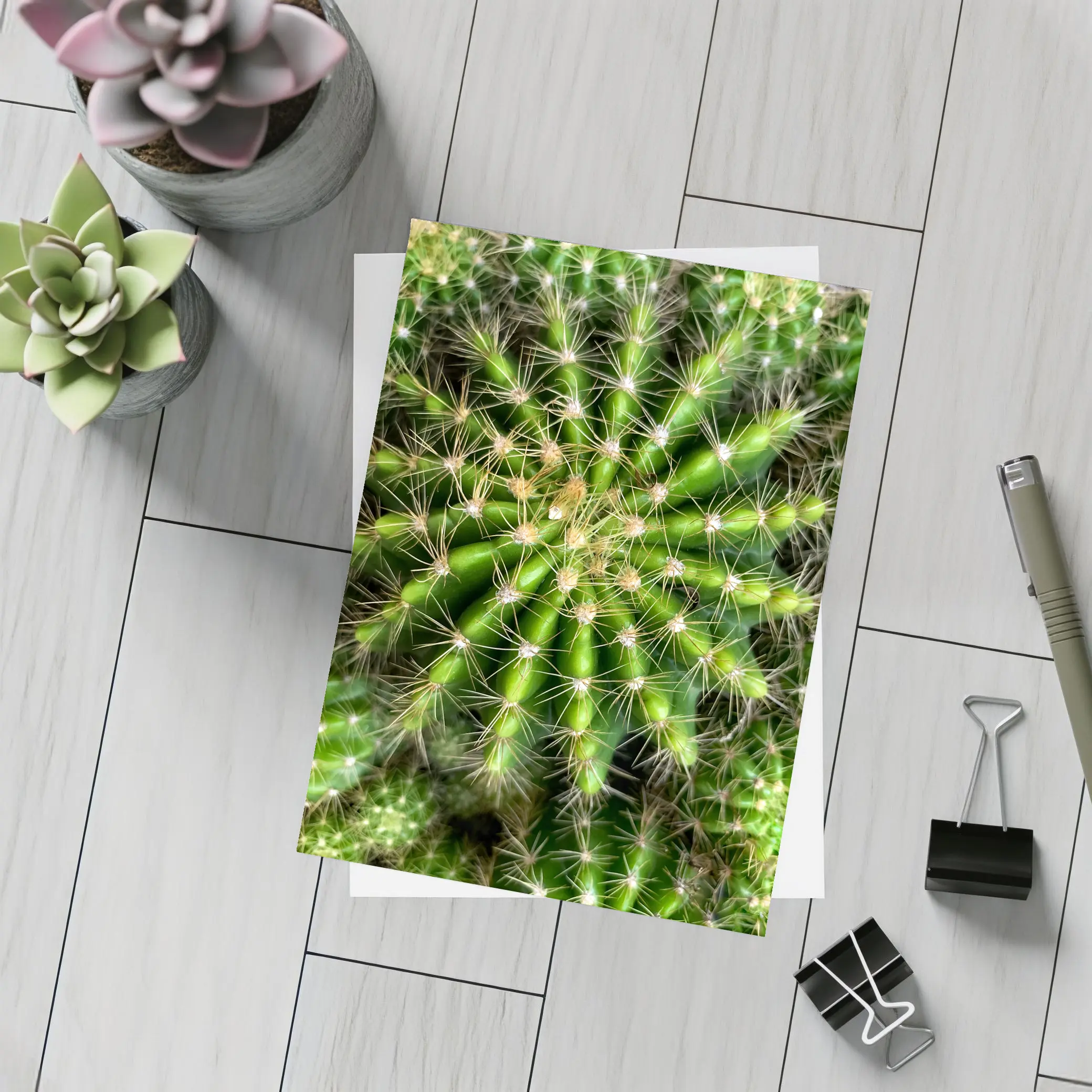 Green Cactus Close Up Top View – Postcards