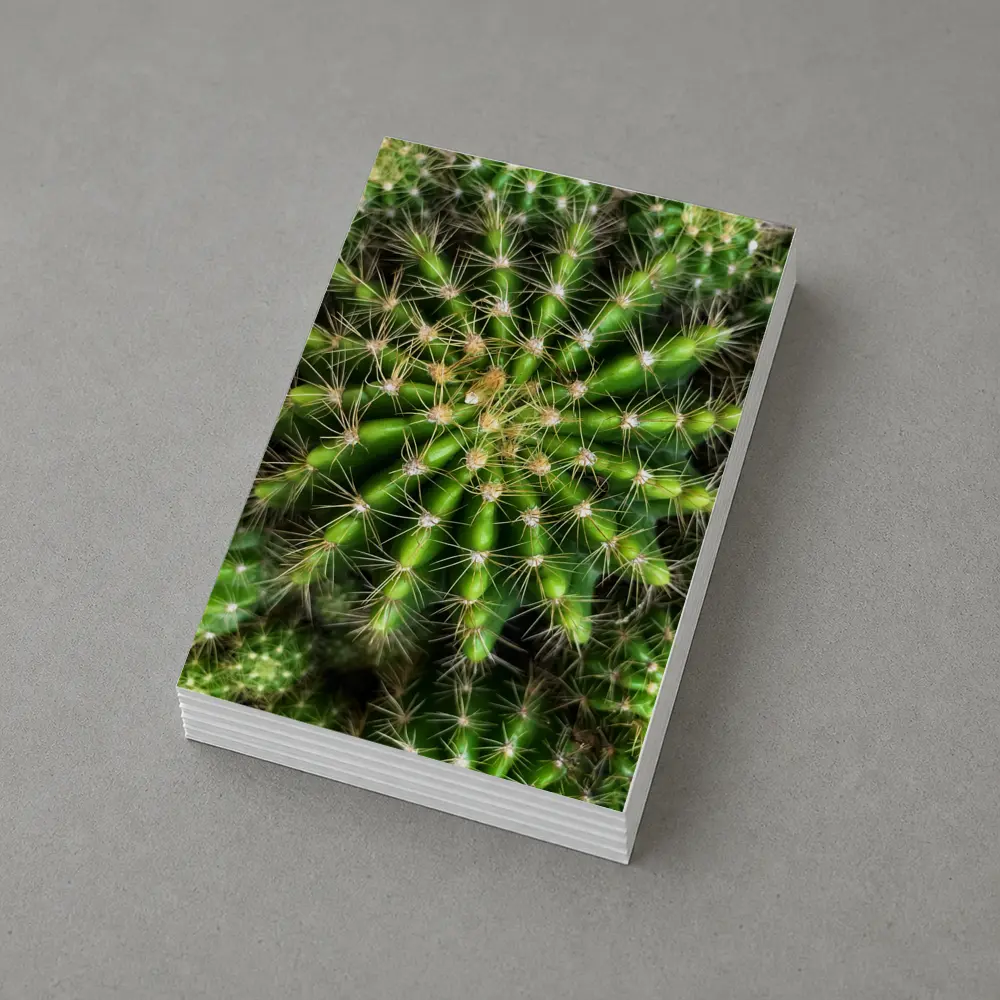 Green Cactus Close Up Top View – Postcards