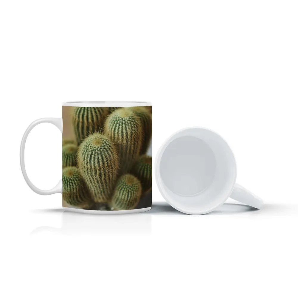 Golden Barrel Cactus Cluster Close Up – Mugs