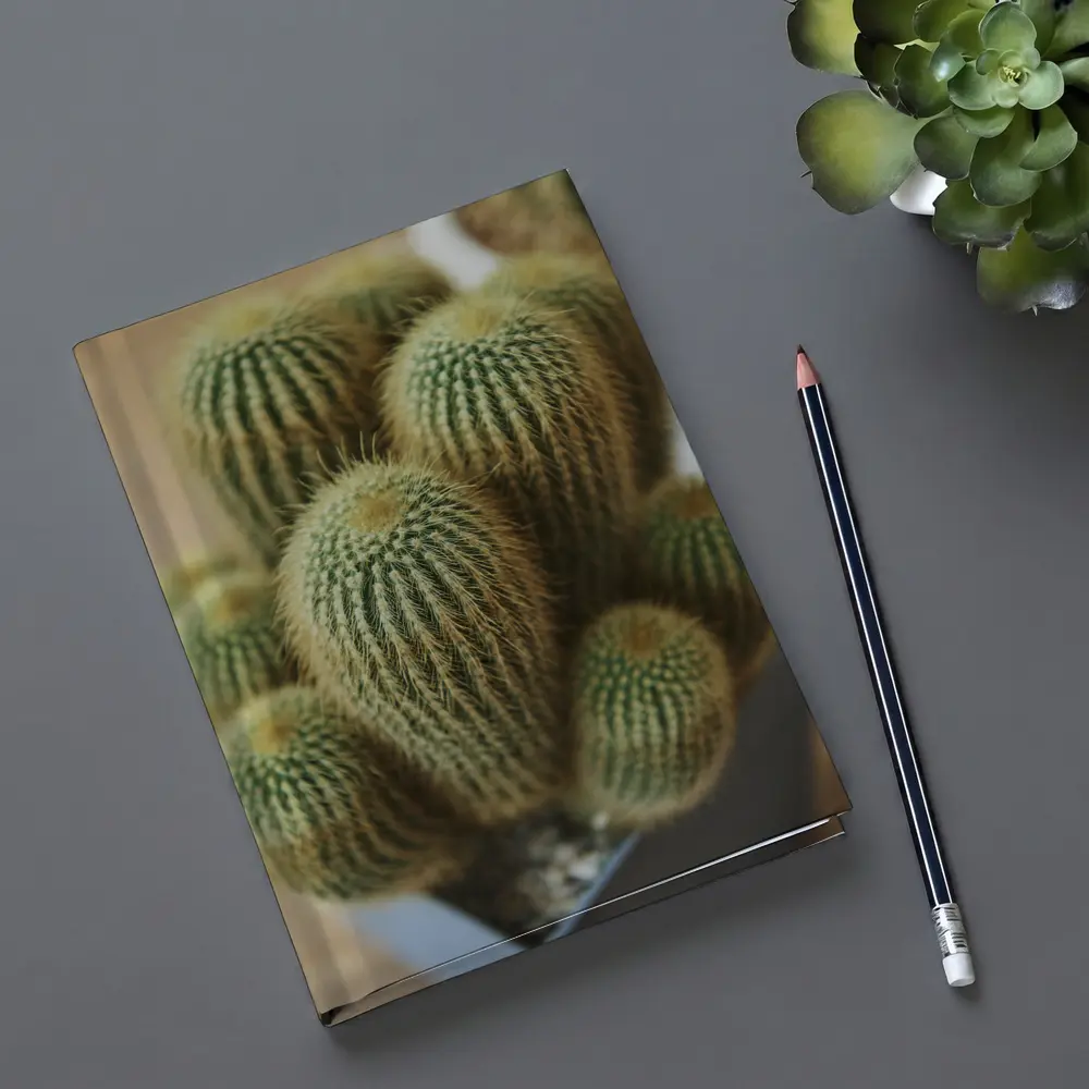 Golden Barrel Cactus Cluster Close Up – Notebooks
