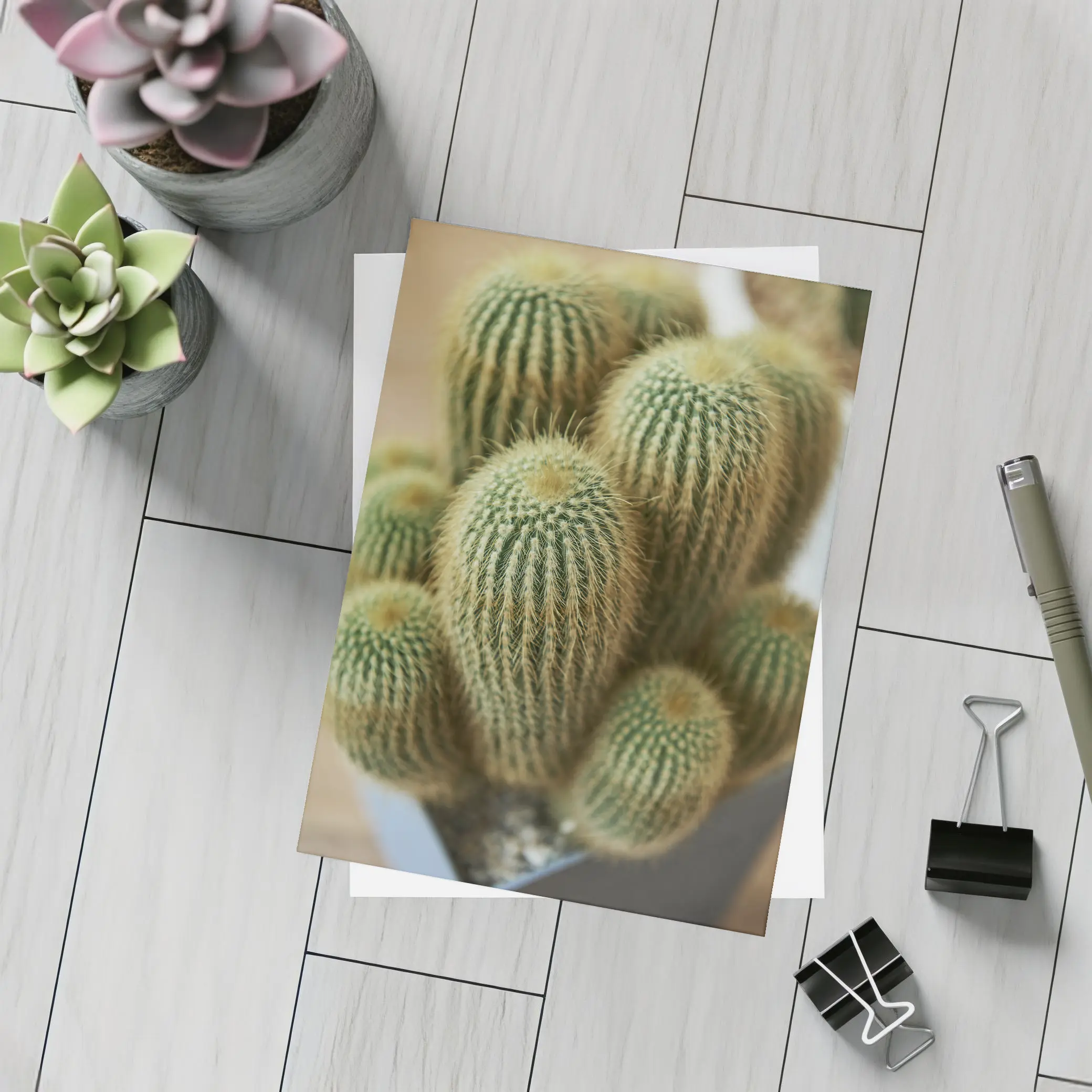 Golden Barrel Cactus Cluster Close Up – Postcards