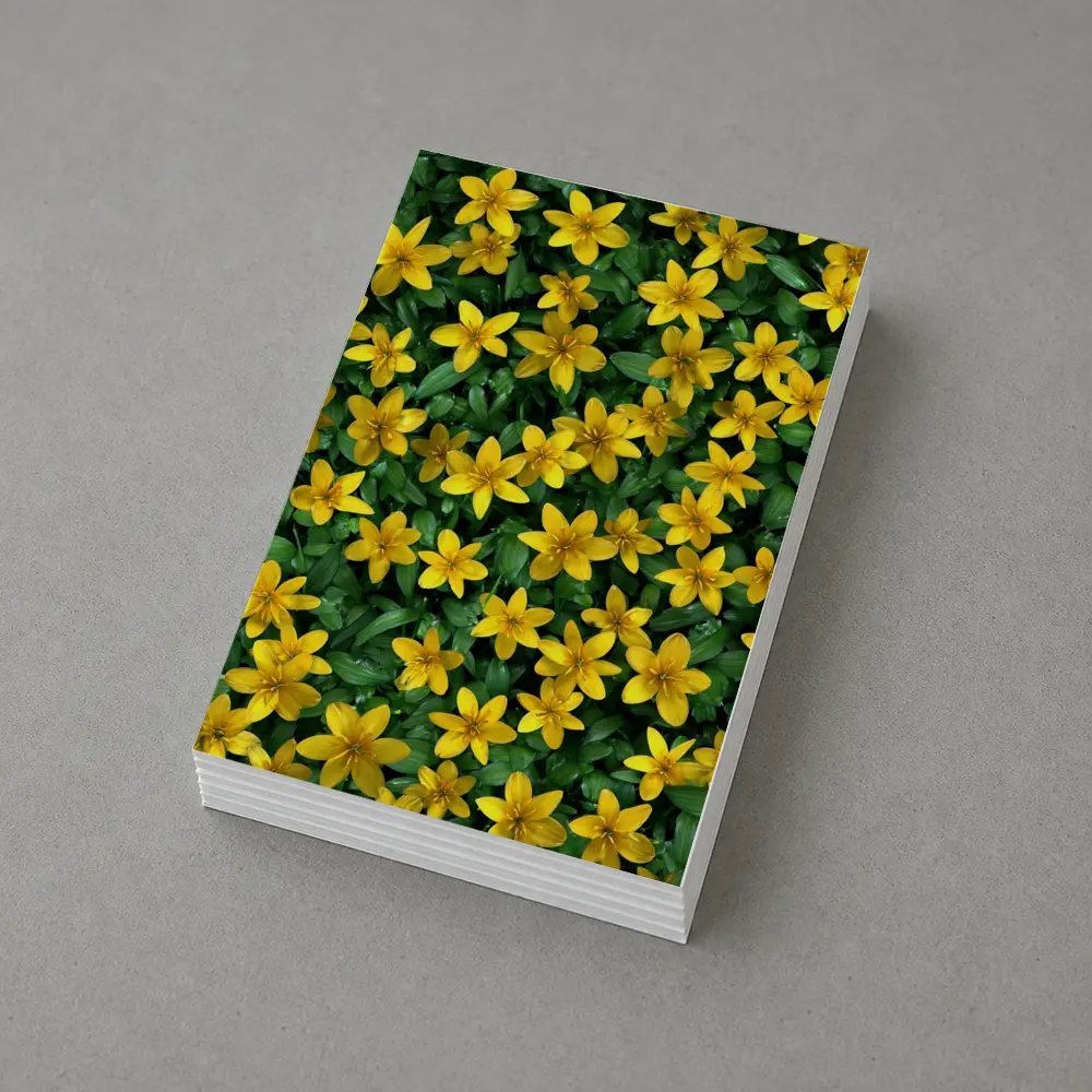 Yellow Wildflowers Dense Green Foliage Background – Postcards