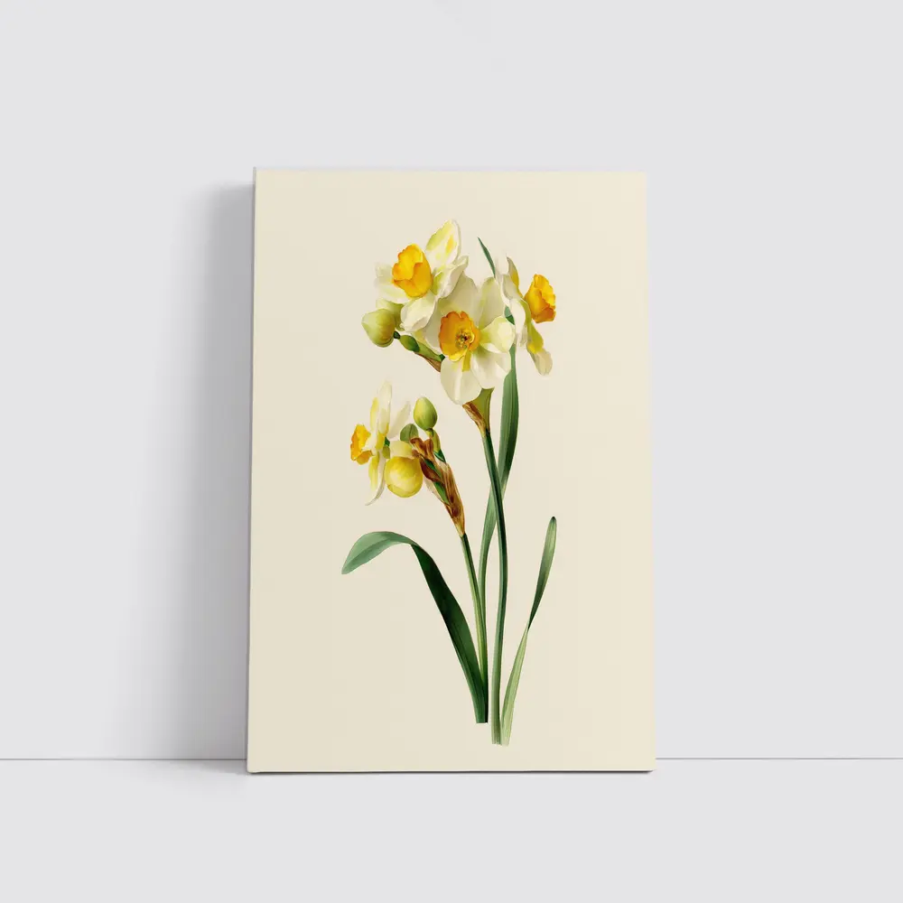 Narcissus Daffodil Botanical Art Beige Background – Wall Art
