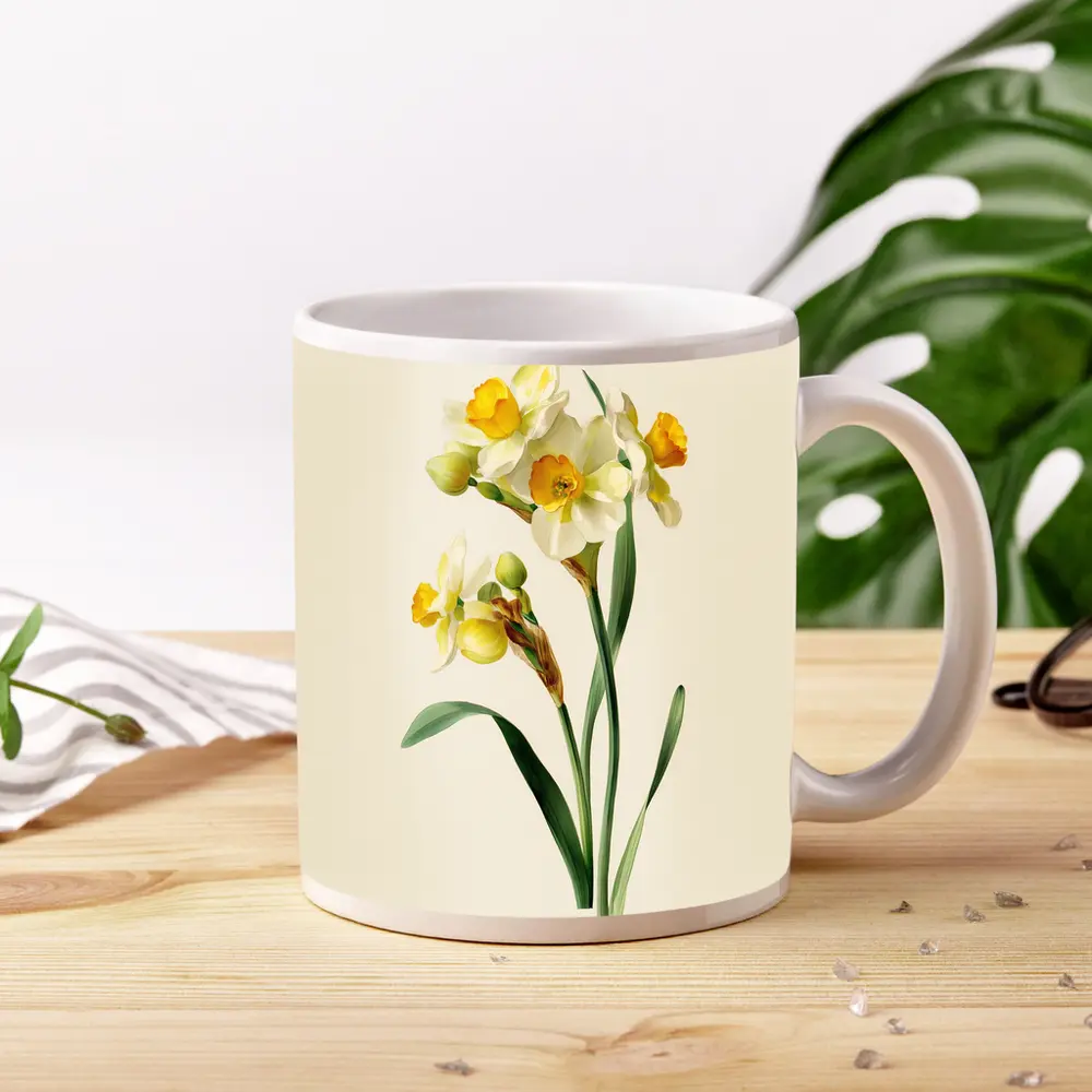 Narcissus Daffodil Botanical Art Beige Background – Mugs