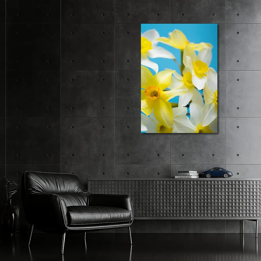 White Yellow Daffodils Blue Background – Wall Art