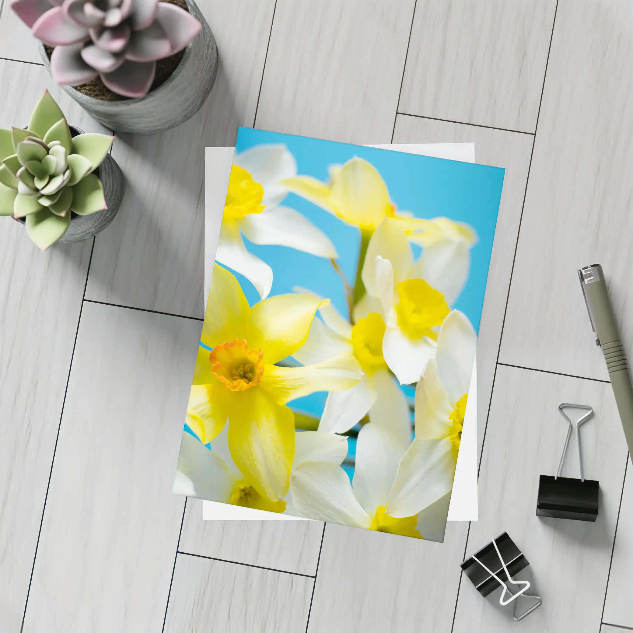 White Yellow Daffodils Blue Background – Postcards