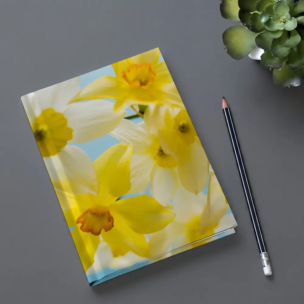 Yellow White Daffodils Blue Sky Background – Notebooks