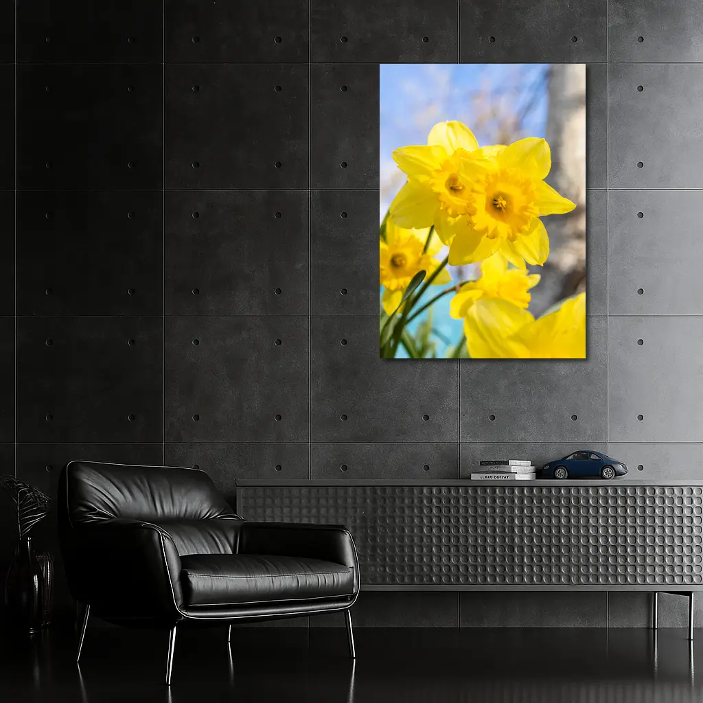 Yellow Daffodils Blue Sky Spring Garden – Wall Art