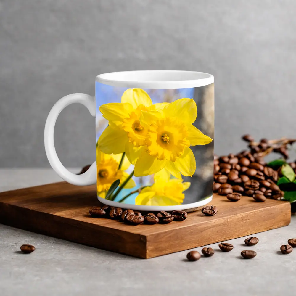 Yellow Daffodils Blue Sky Spring Garden – Mugs