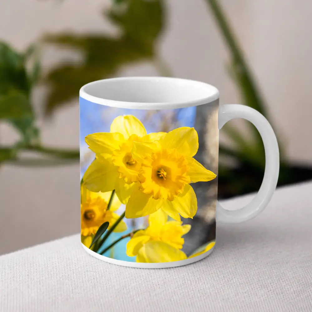 Yellow Daffodils Blue Sky Spring Garden – Mugs