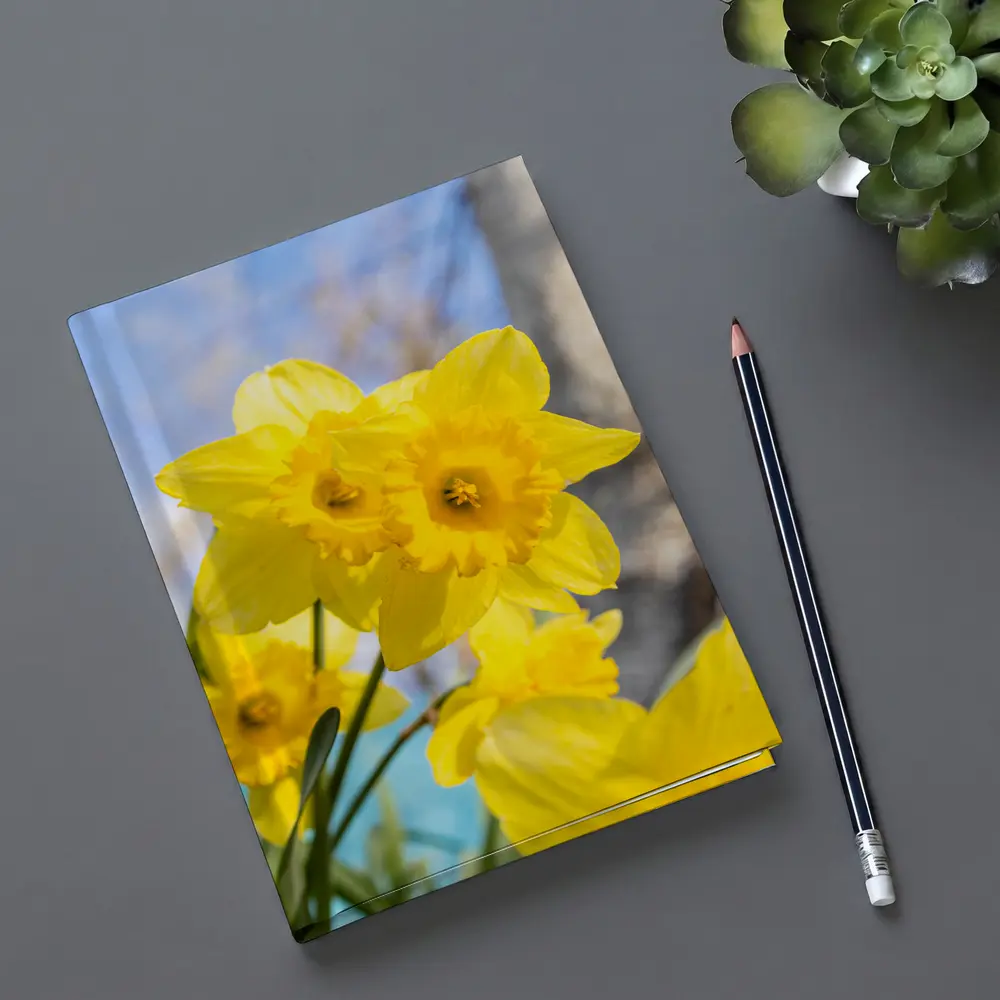 Yellow Daffodils Blue Sky Spring Garden – Notebooks