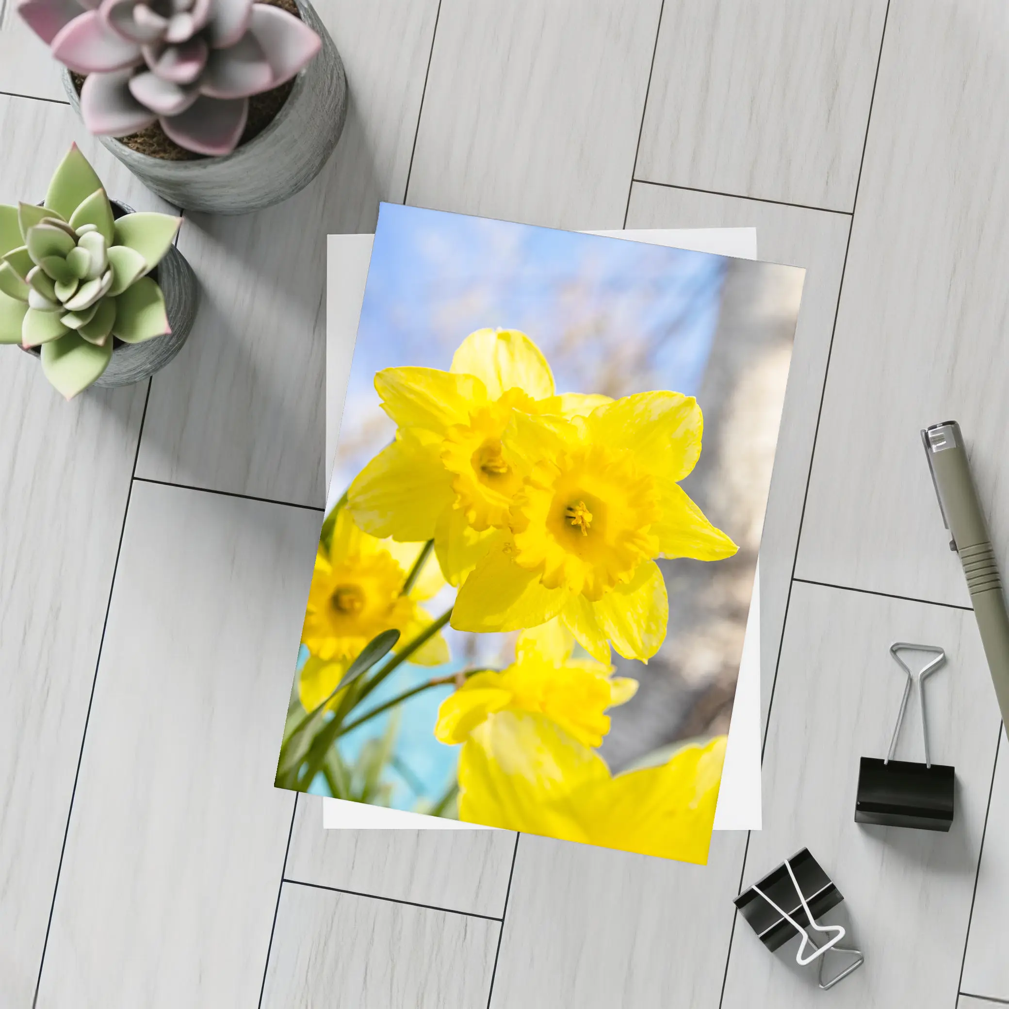 Yellow Daffodils Blue Sky Spring Garden – Postcards