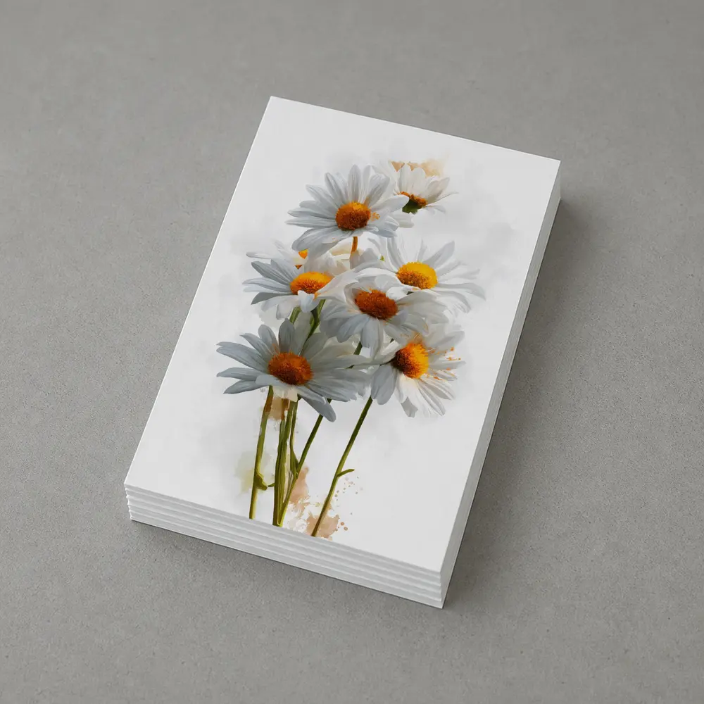 White Daisy Bouquet Watercolor Art White Background – Postcards