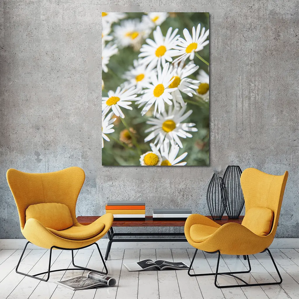 White Daisy Flowers Green Garden Background – Wall Art