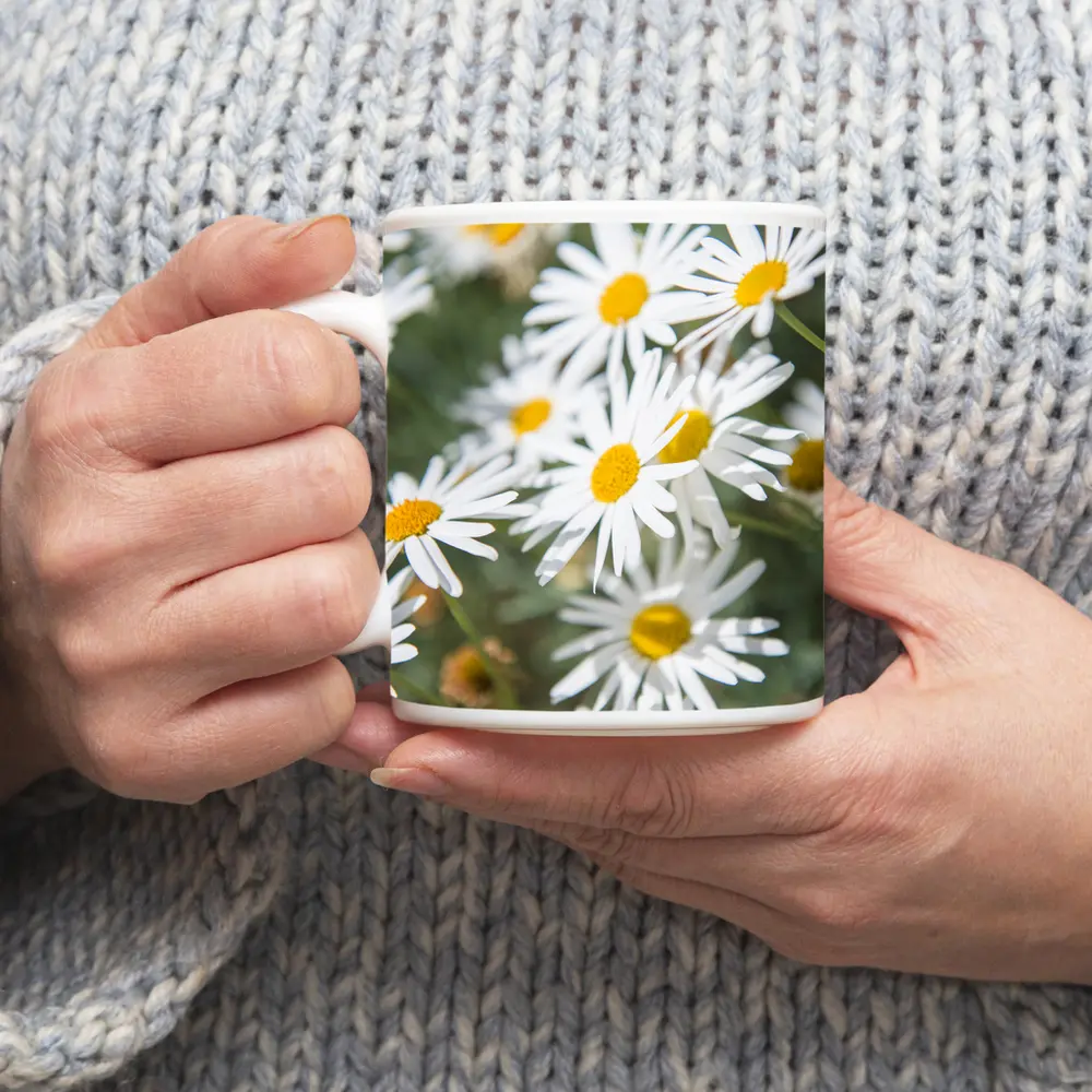 White Daisy Flowers Green Garden Background – Mugs