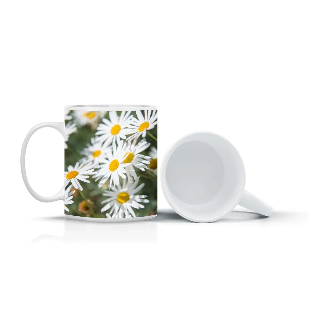 White Daisy Flowers Green Garden Background – Mugs