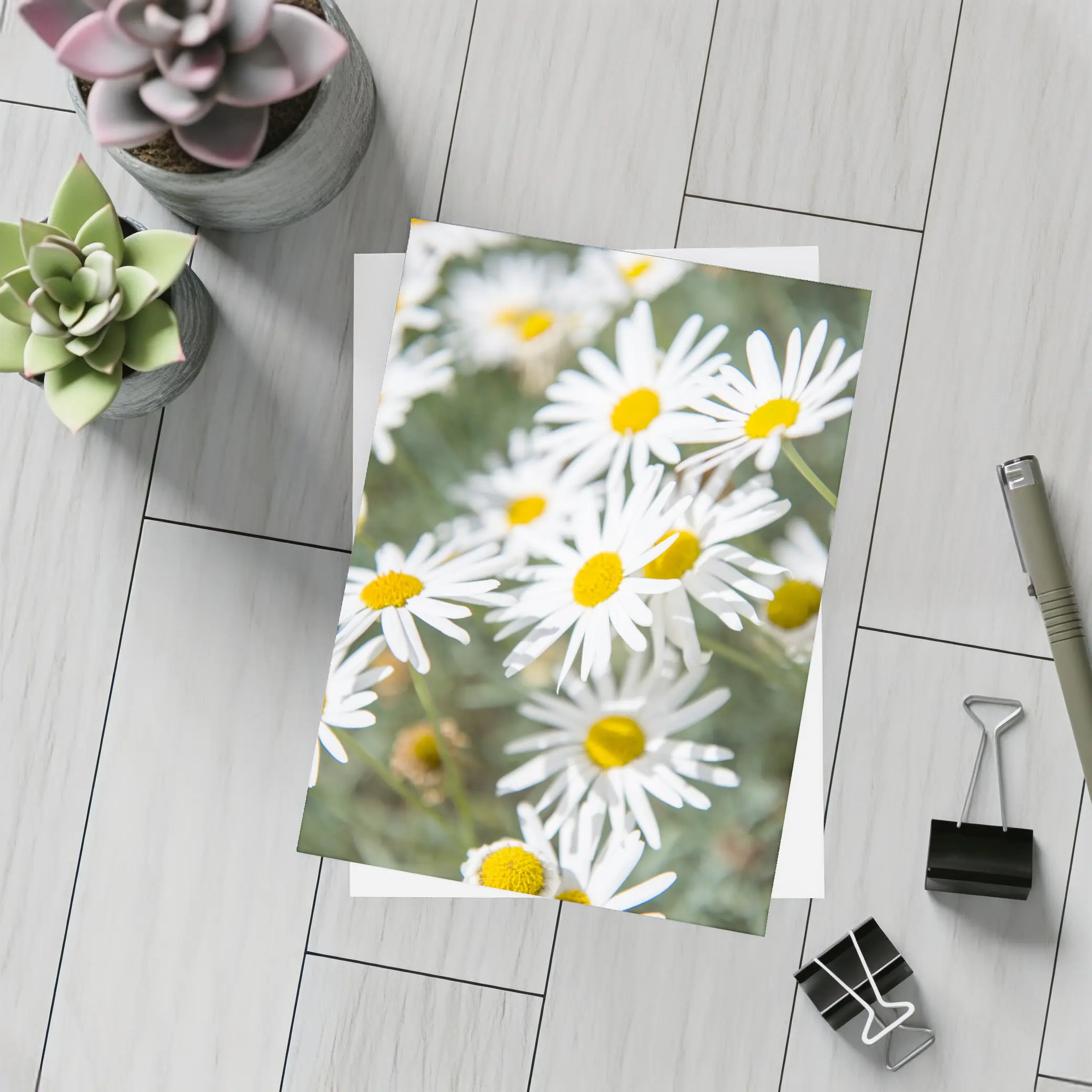White Daisy Flowers Green Garden Background – Postcards