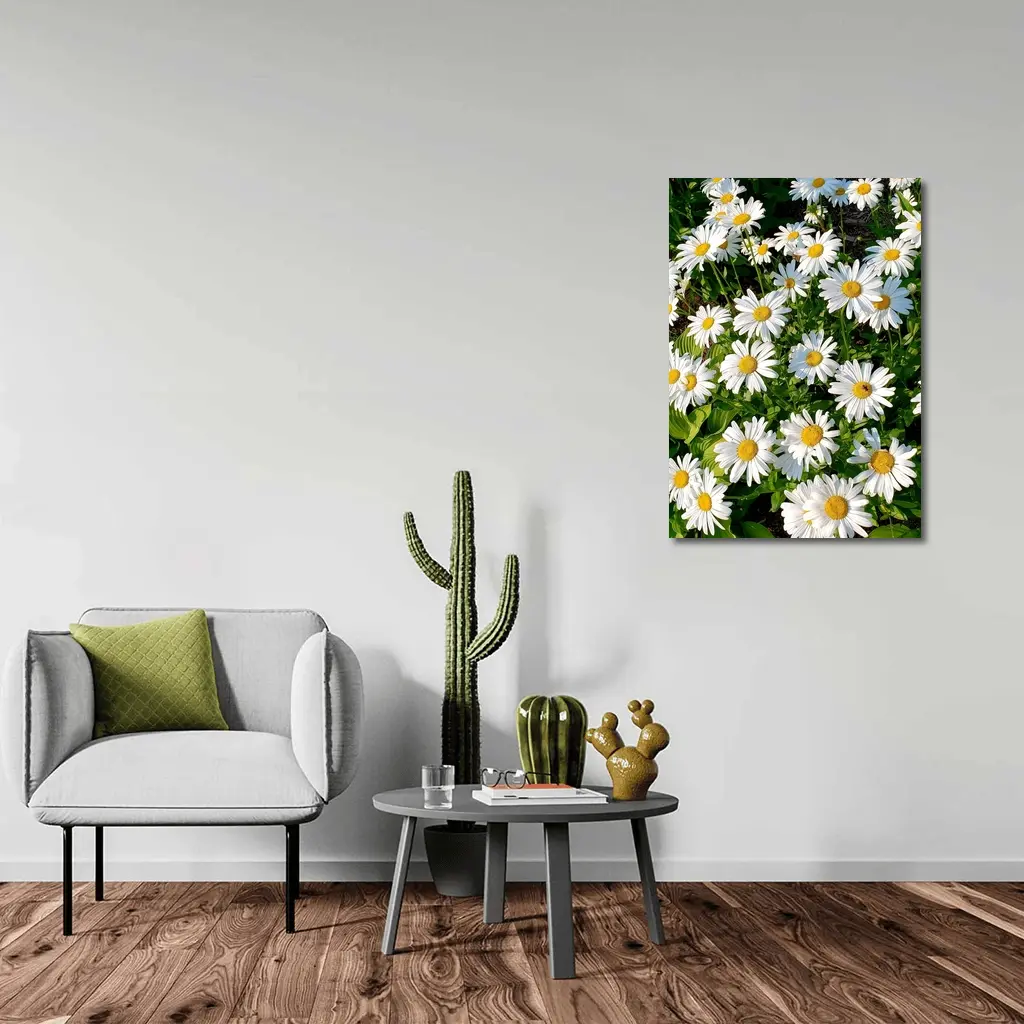 White Daisies Blooming In Green Garden – Wall Art