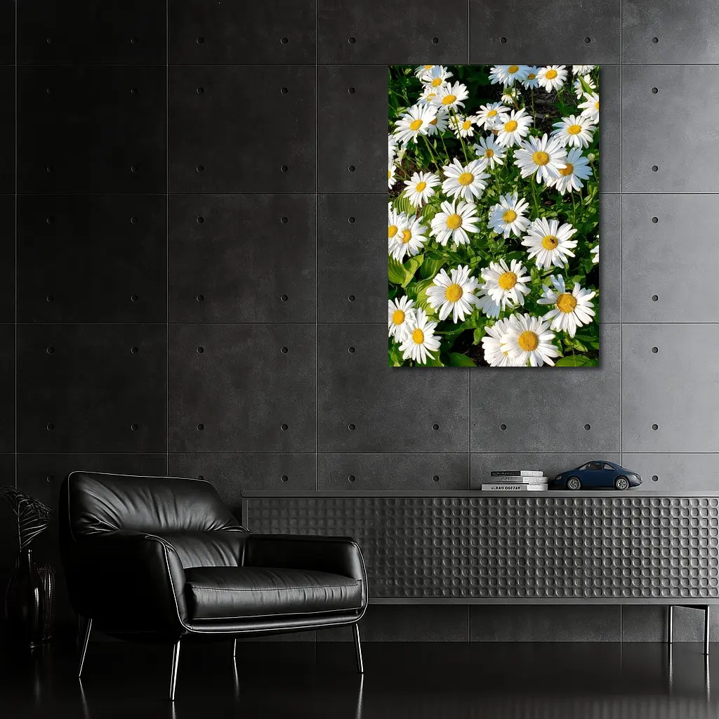 White Daisies Blooming In Green Garden – Wall Art