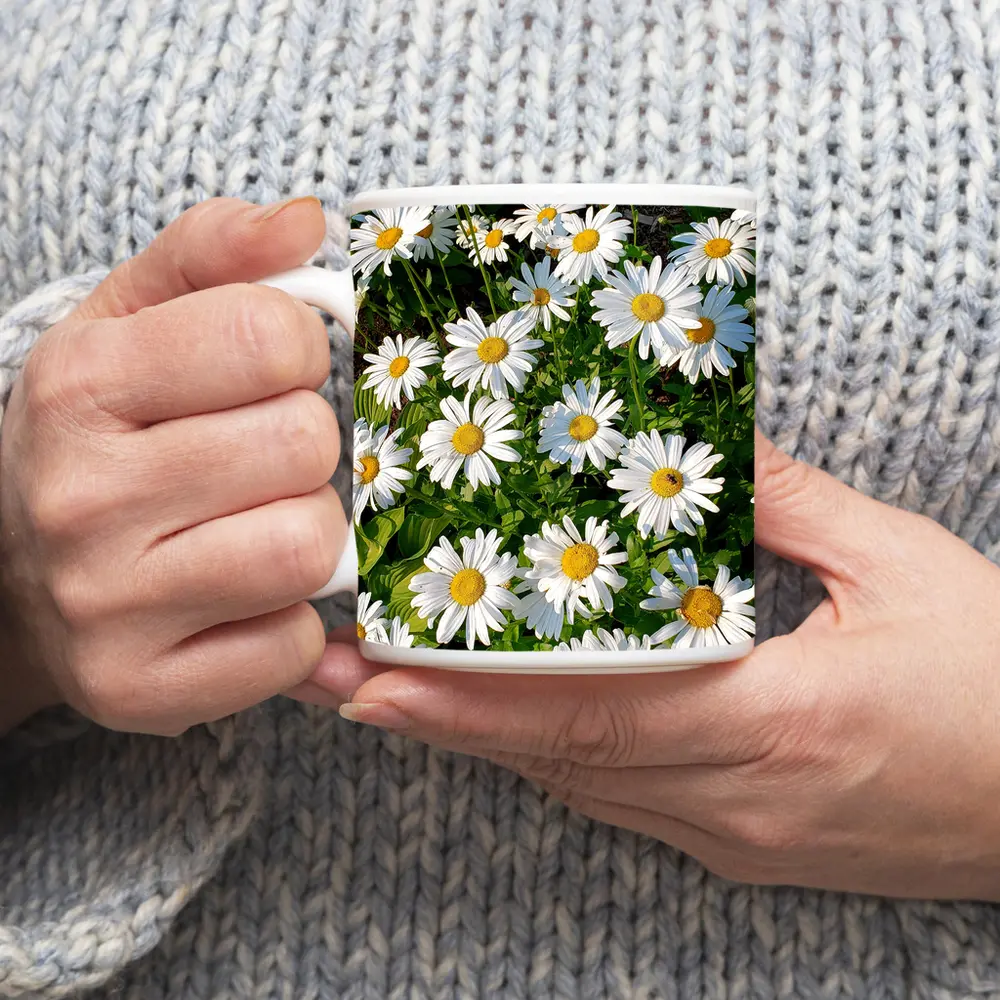 White Daisies Blooming In Green Garden – Mugs