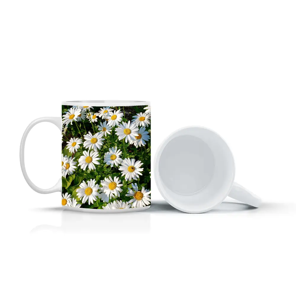 White Daisies Blooming In Green Garden – Mugs