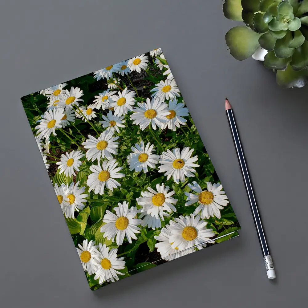 White Daisies Blooming In Green Garden – Notebooks