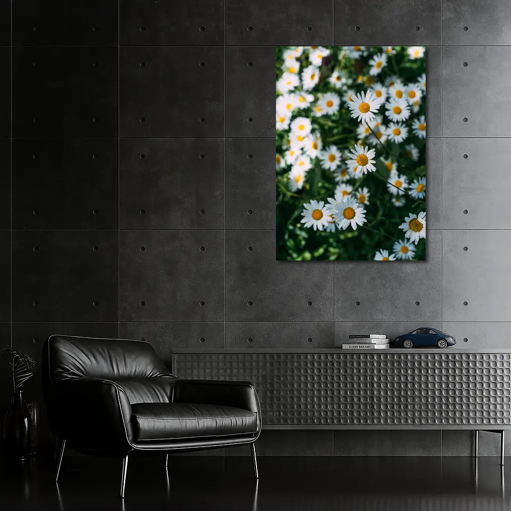 White Daisies Blooming Over Green Garden – Wall Art