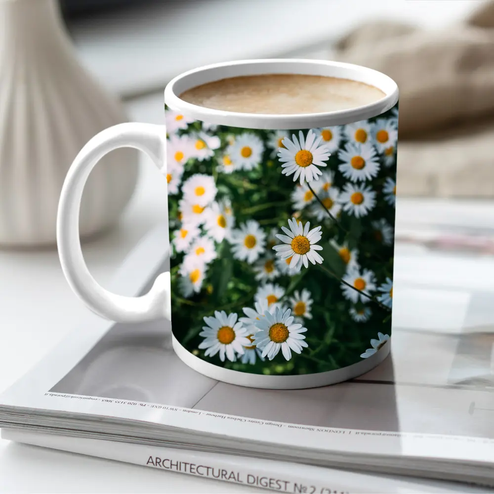 White Daisies Blooming Over Green Garden – Mugs