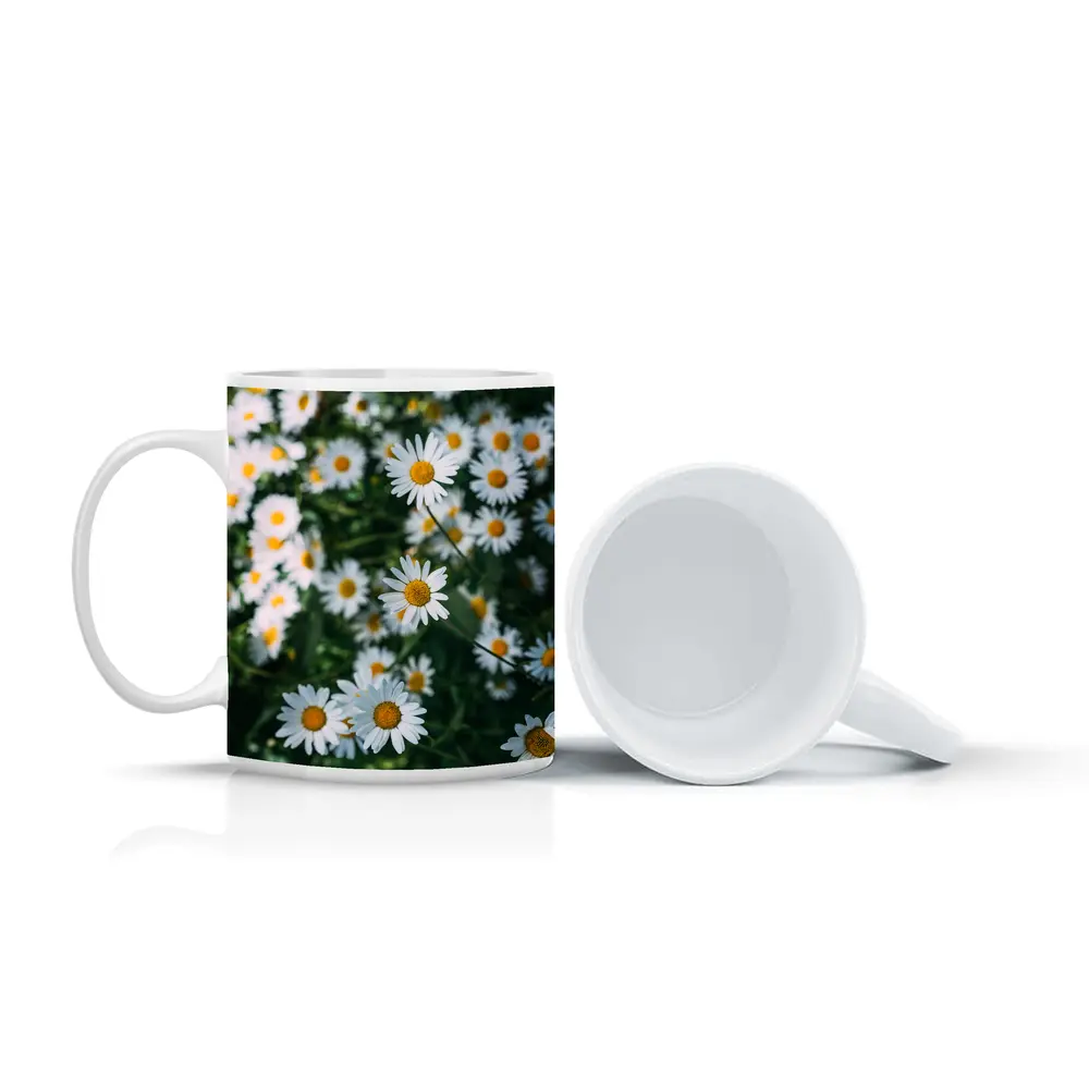 White Daisies Blooming Over Green Garden – Mugs