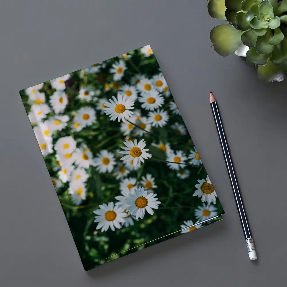 White Daisies Blooming Over Green Garden – Notebooks