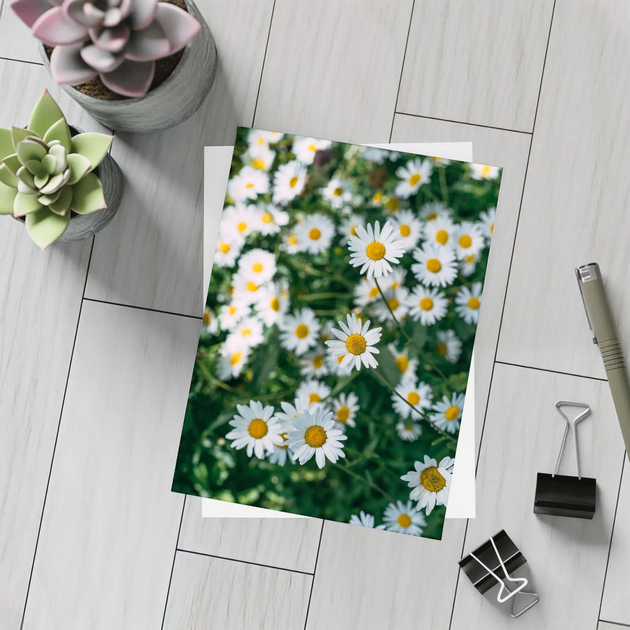 White Daisies Blooming Over Green Garden – Postcards