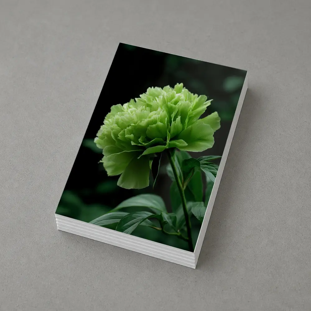 Green Peony Flower Dark Botanical Background – Postcards