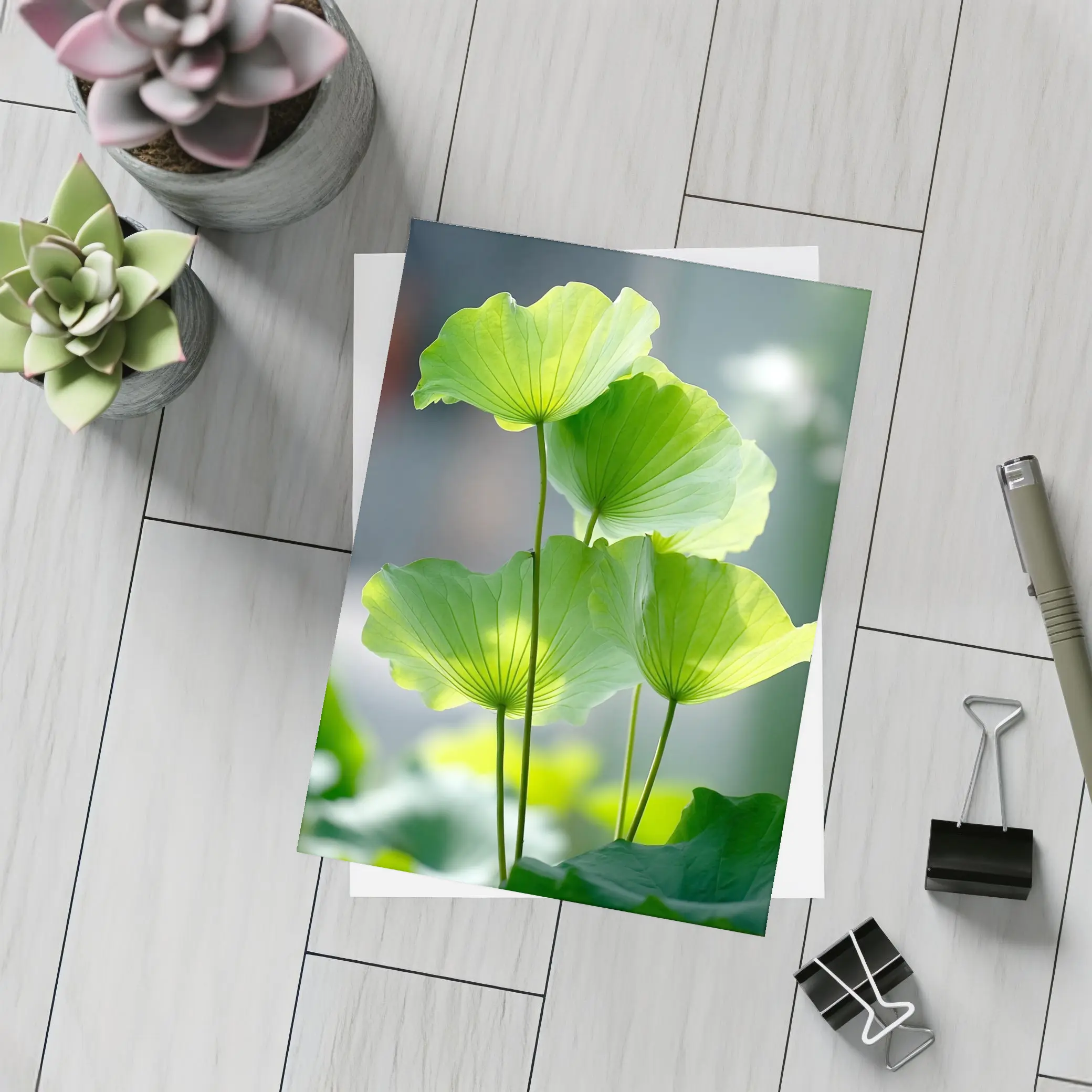 Lotus Leaves Green Light Soft Background – Postcards