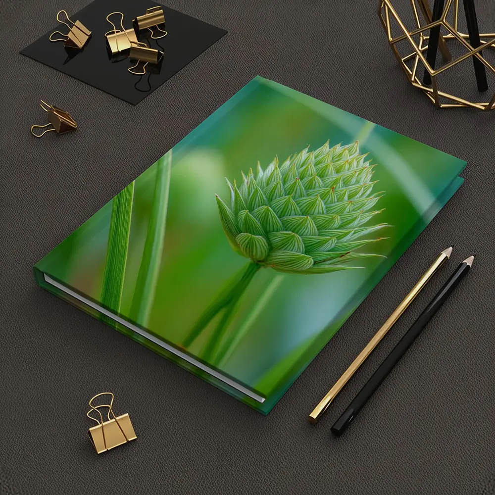Green Allium Bud Soft Bokeh Background – Notebooks