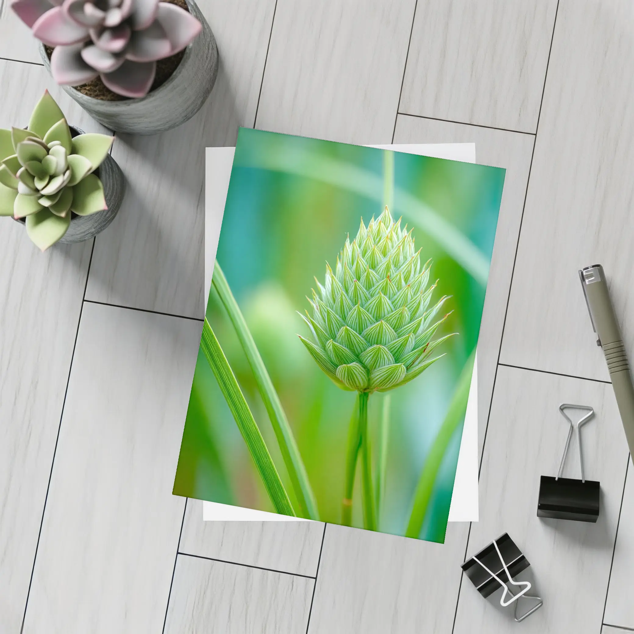 Green Allium Bud Soft Bokeh Background – Postcards