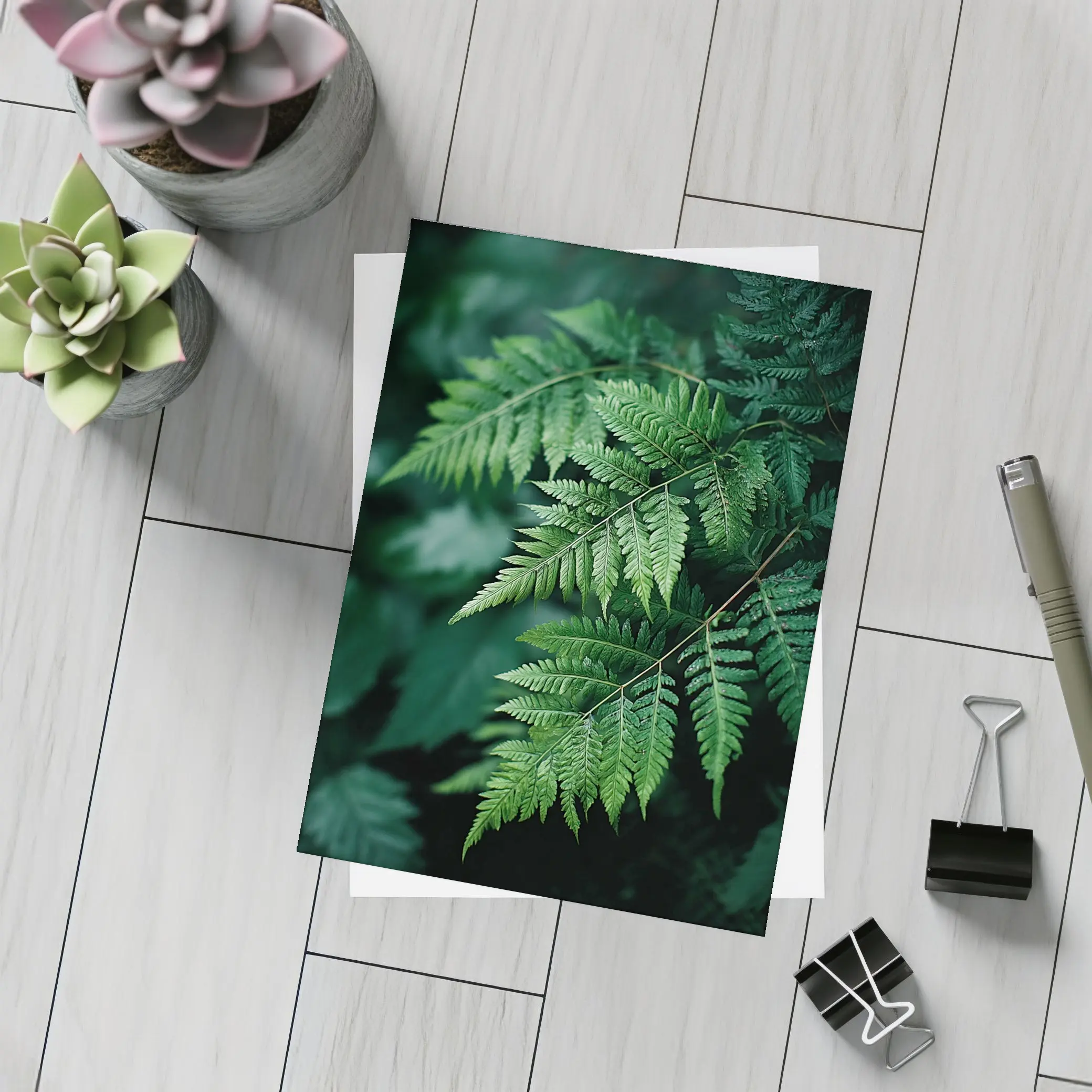 Green Fern Leaves Dark Forest Background – Postcards