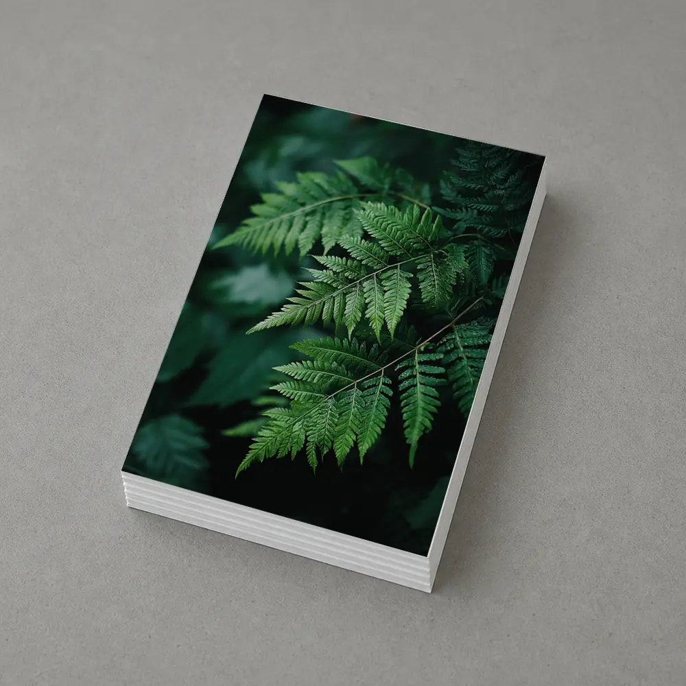 Green Fern Leaves Dark Forest Background – Postcards