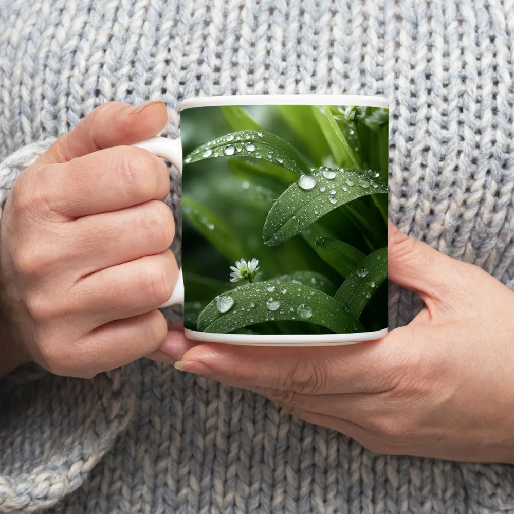 Green Leaves With Dew Drops Close Up – Mugs