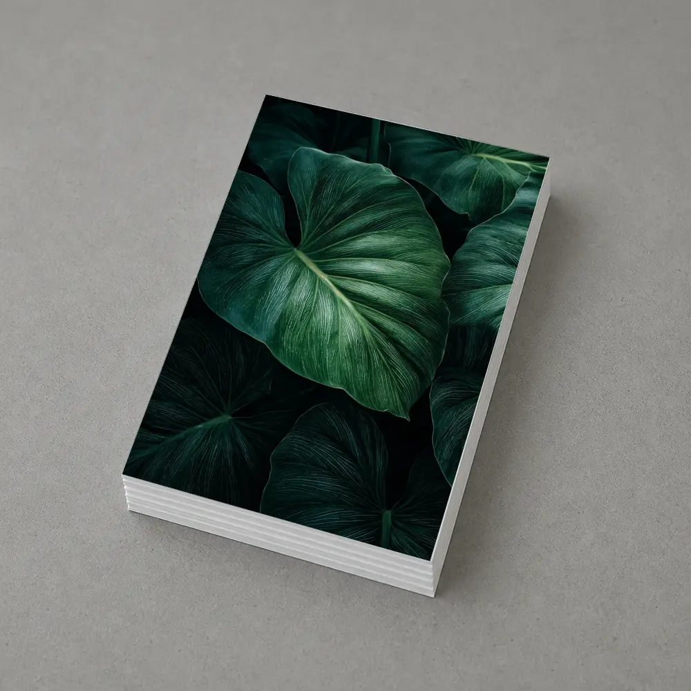 Dark Green Tropical Elephant Ear Leaves – Postcards