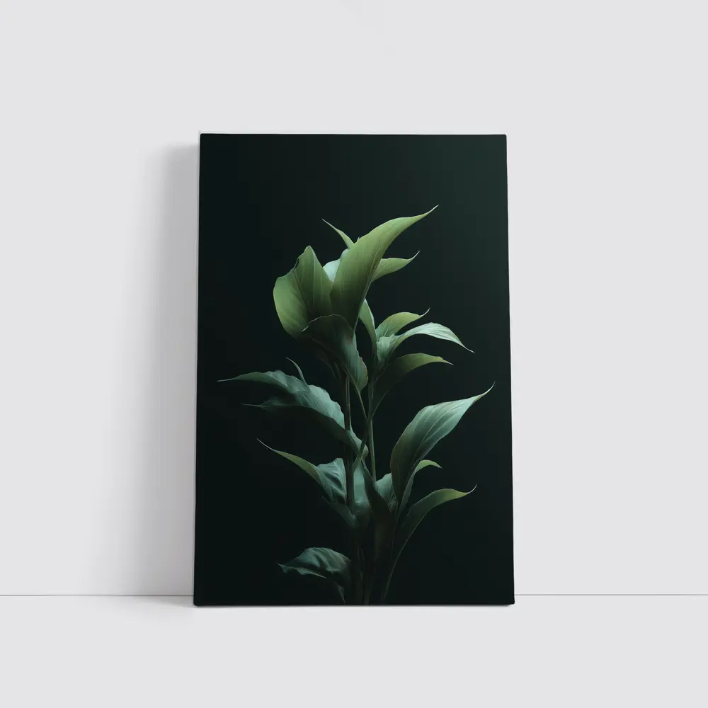 Dark Green Tropical Plant Black Background – Wall Art