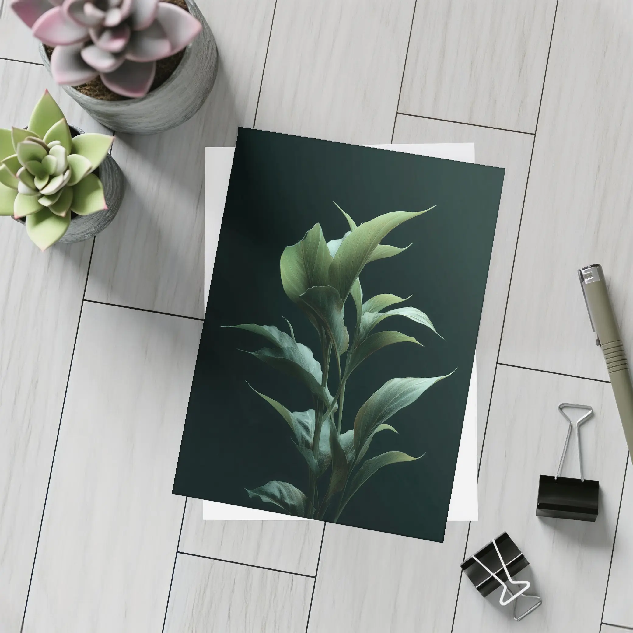 Dark Green Tropical Plant Black Background – Postcards