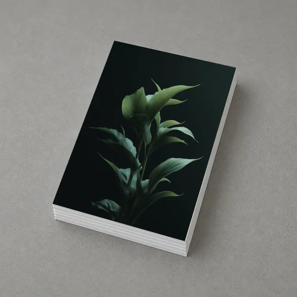 Dark Green Tropical Plant Black Background – Postcards