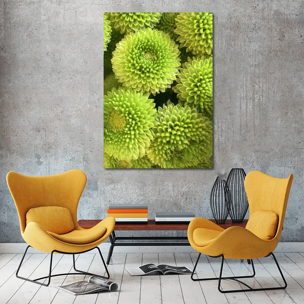 Green Chrysanthemum Flowers Close Up Cluster – Wall Art